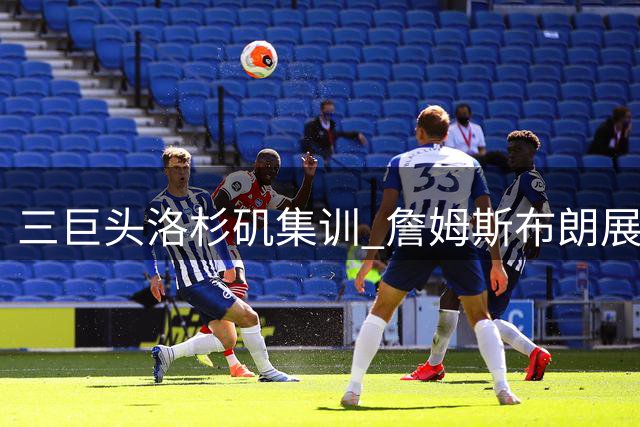 三巨头洛杉矶集训 詹姆斯布朗展现空中配合默契