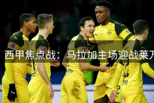 西甲焦点战：马拉加主场迎战莱万特